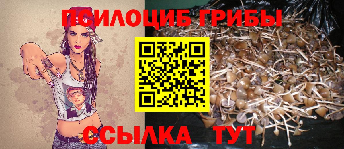 Лесозаводск  Псилоцибиновые грибы GOLDEN TEACHER  Галлюциногенные грибы прущие грибы  Вход с VPN 