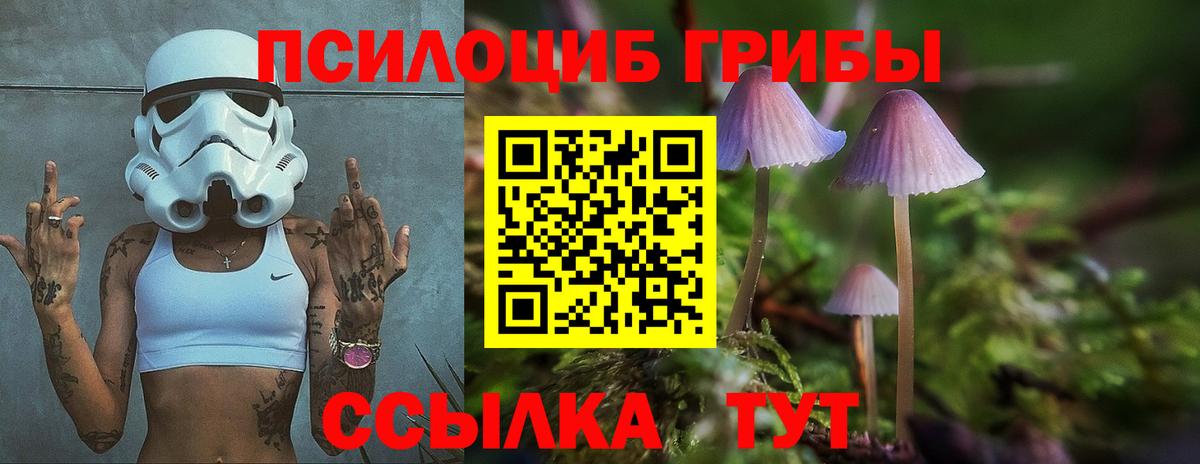 Кокаин Лесозаводск